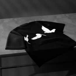 Ascend Black T-Shirt